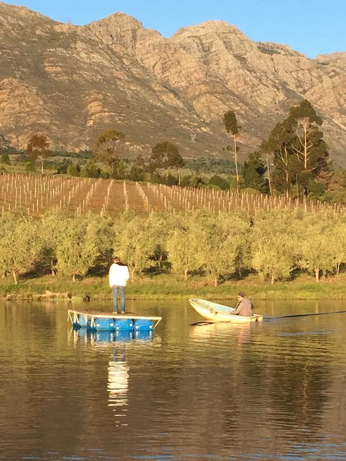 Fraaigelegen Farm - Home Of Adhara Evoo Tulbagh Dış mekan fotoğraf