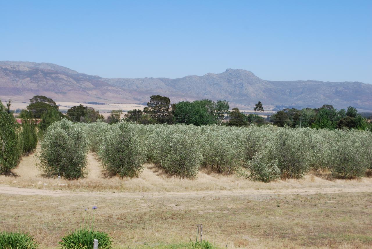 Fraaigelegen Farm - Home Of Adhara Evoo Tulbagh Dış mekan fotoğraf