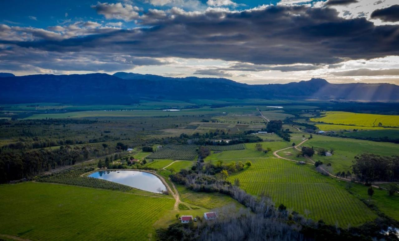 Fraaigelegen Farm - Home Of Adhara Evoo Tulbagh Dış mekan fotoğraf